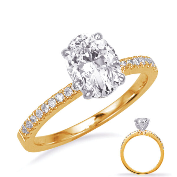 White & Yellow Gold Engagement Ring