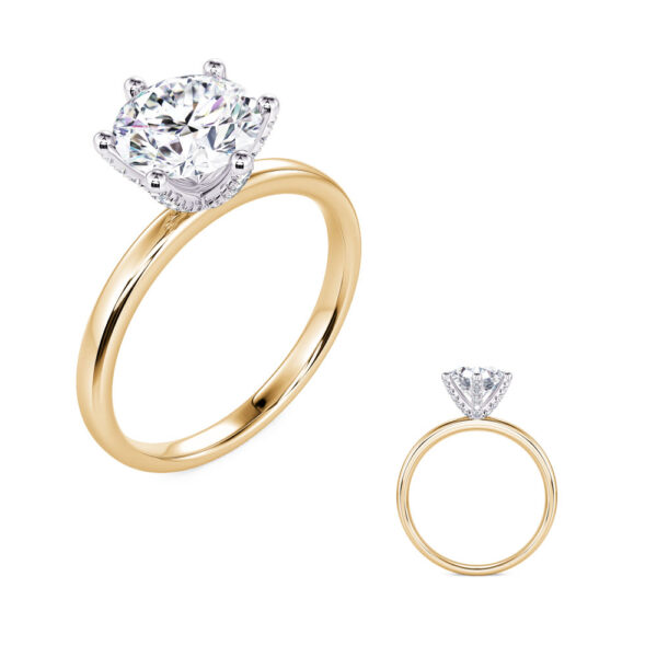 Yellow and White Gold Engagement Ring