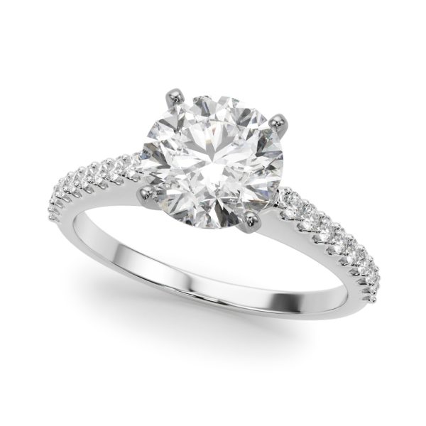 REMOUNT RING