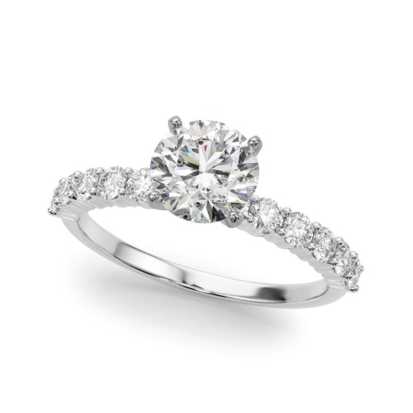 REMOUNT RING
