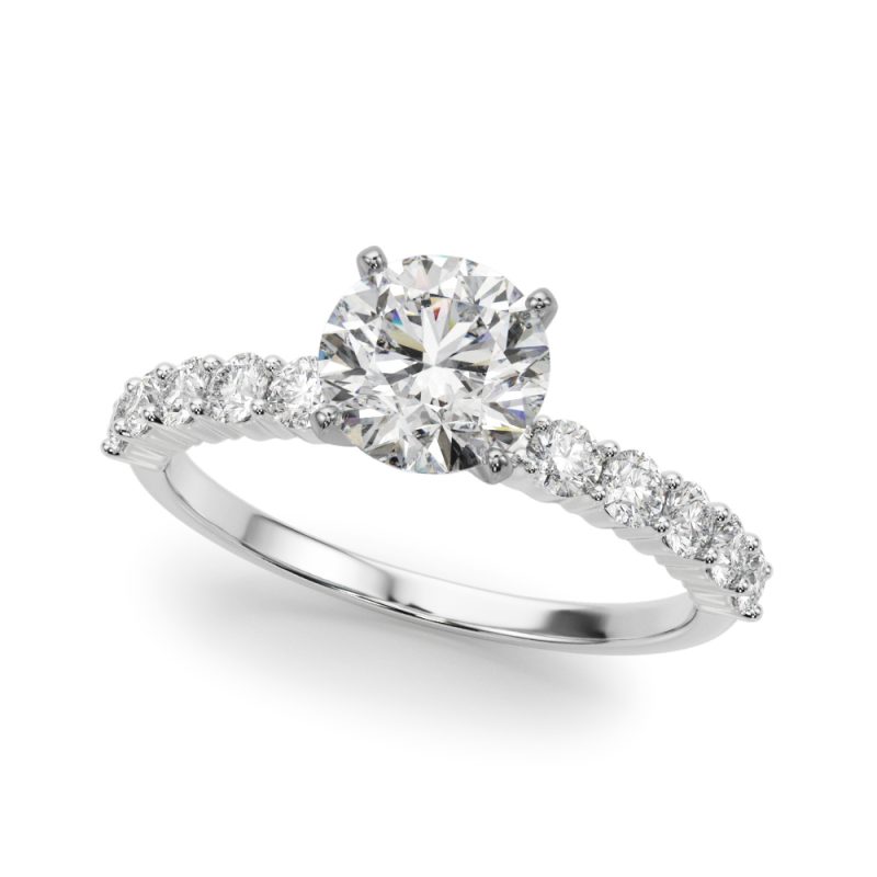 REMOUNT RING