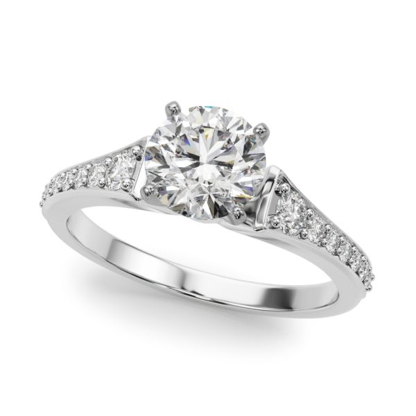 REMOUNT RING