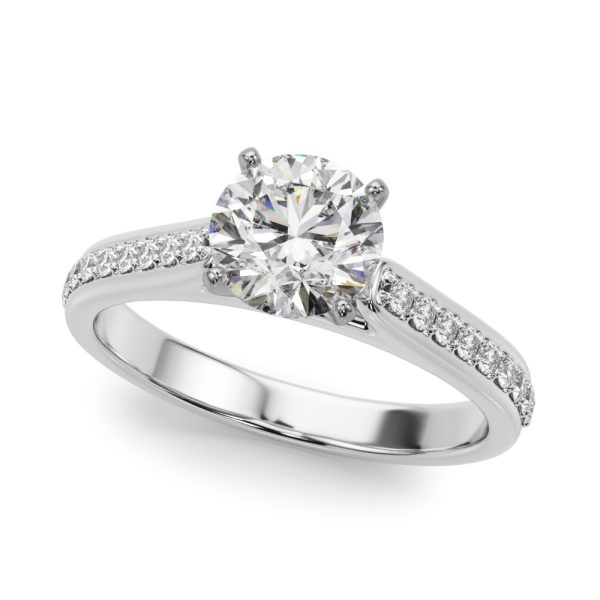 REMOUNT RING