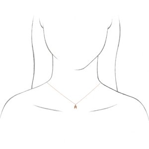 87226:102:P Image2