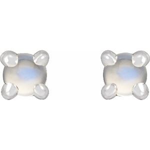 87713:221:P Image2