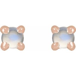 87713:222:P Image2