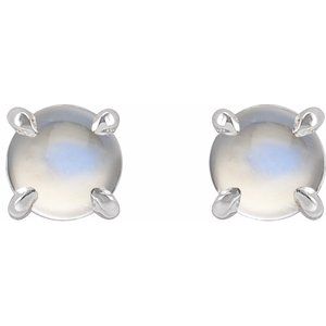 87713:239:P Image2