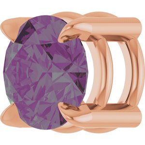 88436:293:P Image2